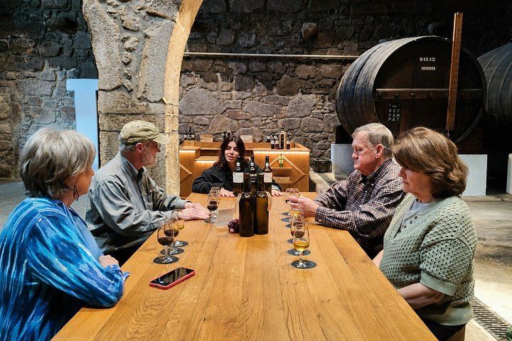 Porto Small-Group Port and Douro Wine Tour in Gaia: Three Lodges, Nine Tastings (5/12)