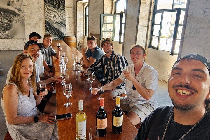 Porto Small-Group Port and Douro Wine Tour in Gaia: Three Lodges, Nine Tastings (11/12)