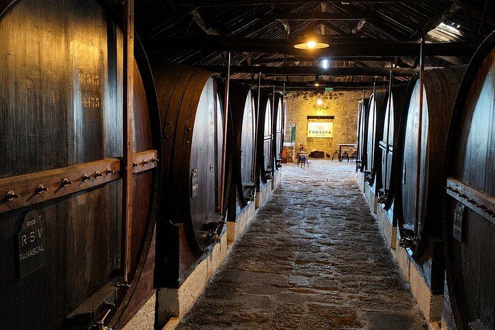 Porto Small-Group Port and Douro Wine Tour in Gaia: Three Lodges, Nine Tastings (10/12)
