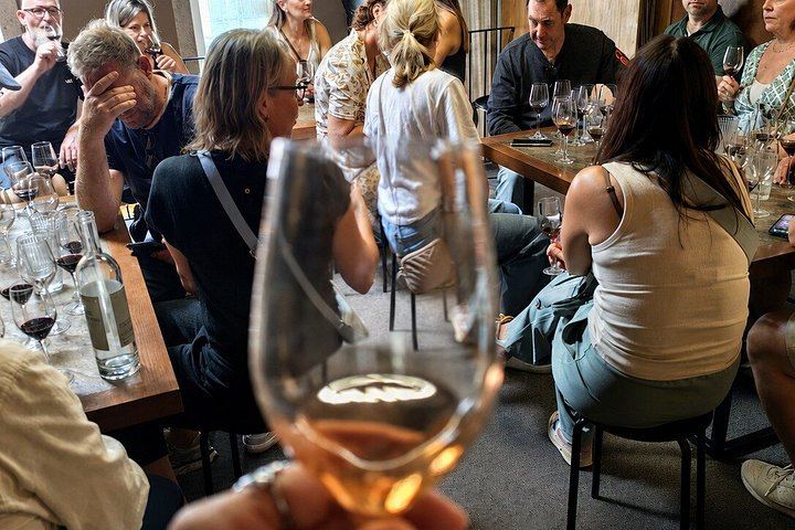 Porto Small-Group Port and Douro Wine Tour in Gaia: Three Lodges, Nine Tastings (9/12)