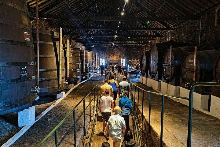 Porto Small-Group Port and Douro Wine Tour in Gaia: Three Lodges, Nine Tastings (2/12)