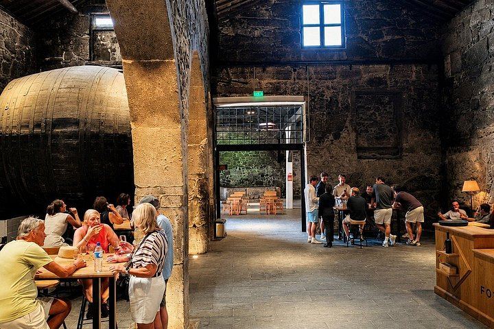 Porto Small-Group Port and Douro Wine Tour in Gaia: Three Lodges, Nine Tastings (3/12)