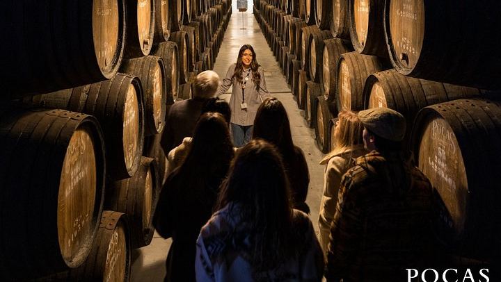 Poças Family Winery Visit in Porto: Tawny Port Tasting with Pastel de Nata (3/9)