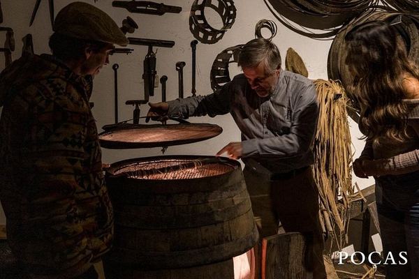 Poças Family Winery Visit in Porto: Tawny Port Tasting with Pastel de Nata