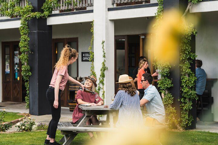 Marlborough Icons Full-Day Tour: Two Wineries and Seafood Cruise on Queen Charlotte Sound (1/10)