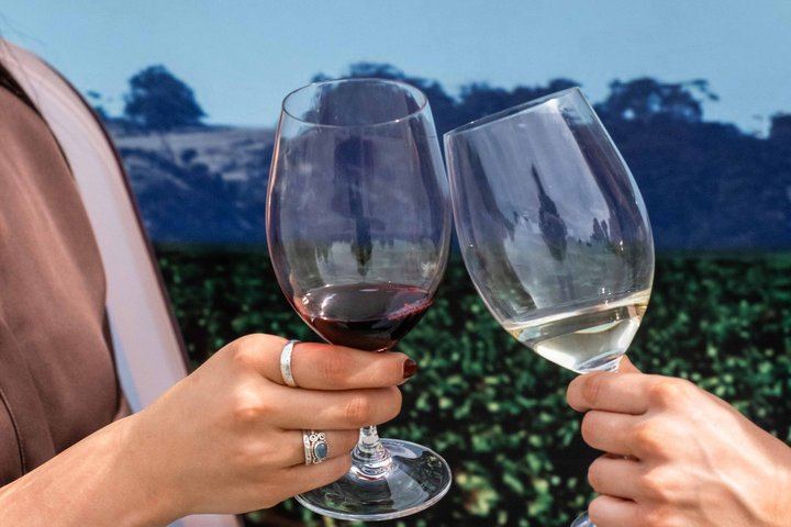 Taste the Barossa Small-Group Tour from Adelaide: Kies, Chateau Tanunda, Yalumba Port (8/12)