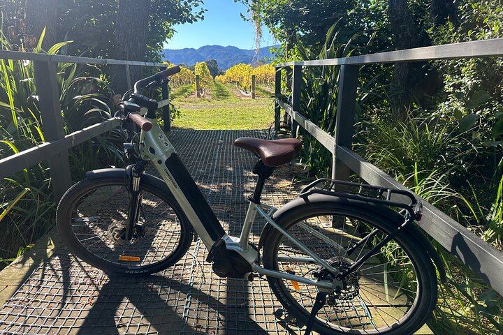 Guided Morning, Self-Guided Afternoon Bike Wine Tour from Rapaura, Marlborough (8/8)