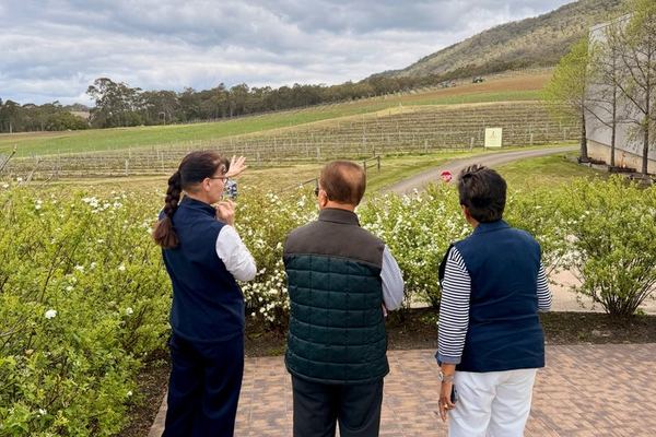 Private Hunter Valley Wine Day with a WSET Host, Wollombi and Pie Pairing from Sydney