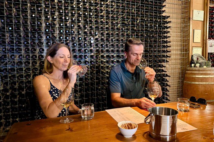 Private Hunter Valley Wine Day with a WSET Host, Wollombi and Pie Pairing from Sydney (3/12)