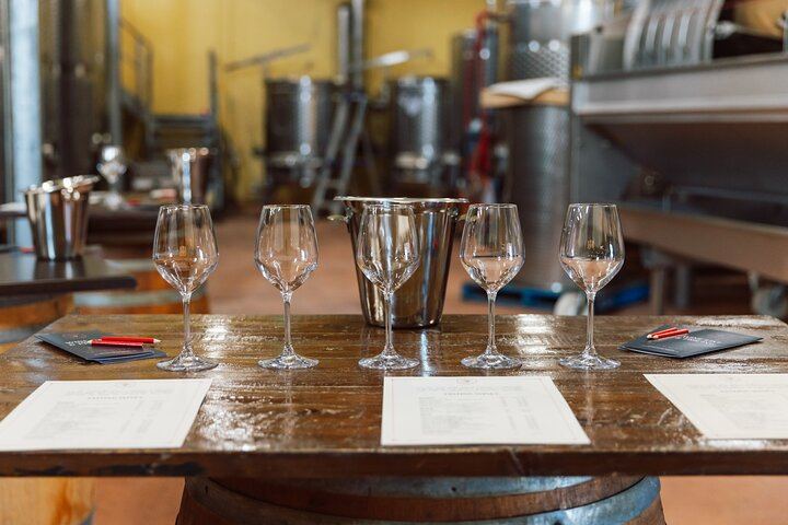 Hunter Valley Day Tour from Sydney: Iron Gate, Sobel's, Gin Distillery and 2-Course Lunch (9/12)