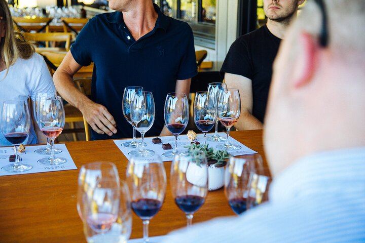Hunter Valley Day Tour from Sydney: Iron Gate, Sobel's, Gin Distillery and 2-Course Lunch (7/12)