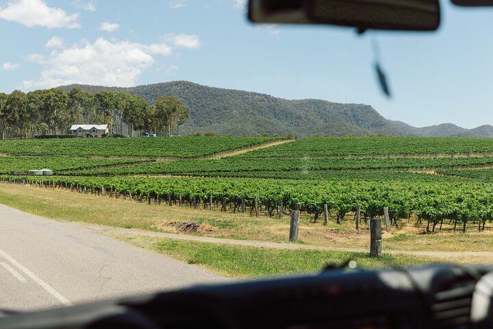 Hunter Valley Day Tour from Sydney: Iron Gate, Sobel's, Gin Distillery and 2-Course Lunch (5/12)