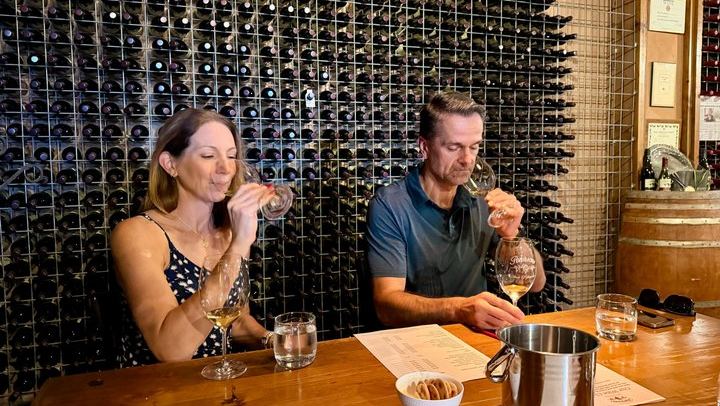 Private Hunter Valley Wine Day with a WSET Host, Wollombi and Pie Pairing from Sydney (3/12)