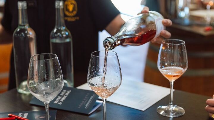 Hunter Valley Day Tour from Sydney: Iron Gate, Sobel's, Gin Distillery and 2-Course Lunch (2/12)