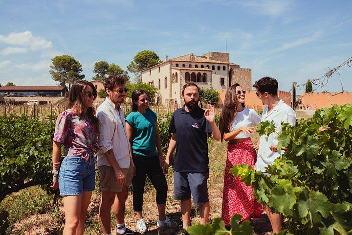 Montserrat and Castle Winery Full Day from Barcelona: 8:30 or 9:45 Departure Options (2/12)