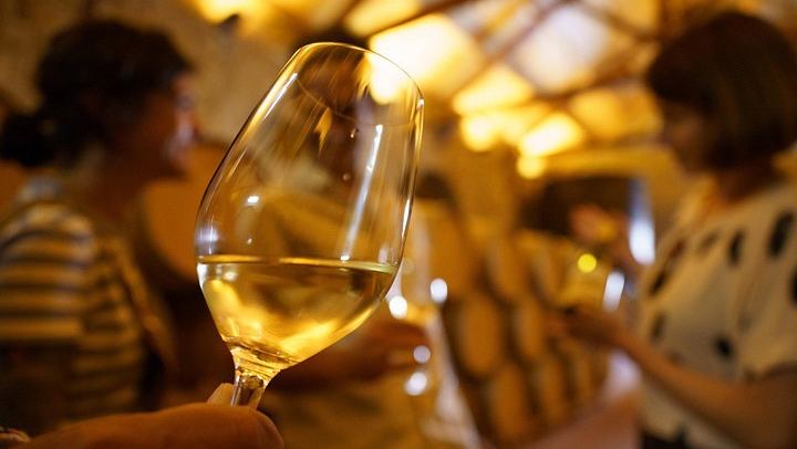 Small-Group Rioja from San Sebastian, Max 7: Ostatu, Gomez Cruzado and Roda Wineries (4/5)