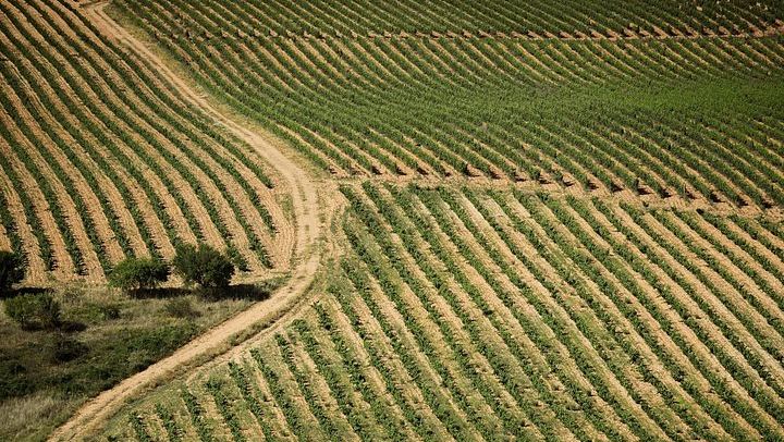 Small-Group Rioja from San Sebastian, Max 7: Ostatu, Gomez Cruzado and Roda Wineries (1/5)