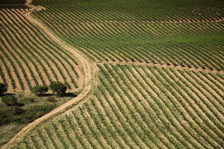 Small-Group Rioja from San Sebastian, Max 7: Ostatu, Gomez Cruzado and Roda Wineries (1/5)
