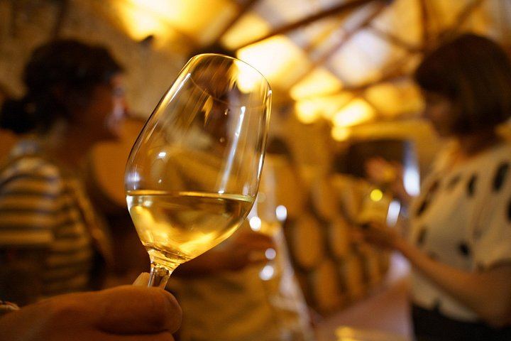 Small-Group Rioja from San Sebastian, Max 7: Ostatu, Gomez Cruzado and Roda Wineries (4/5)