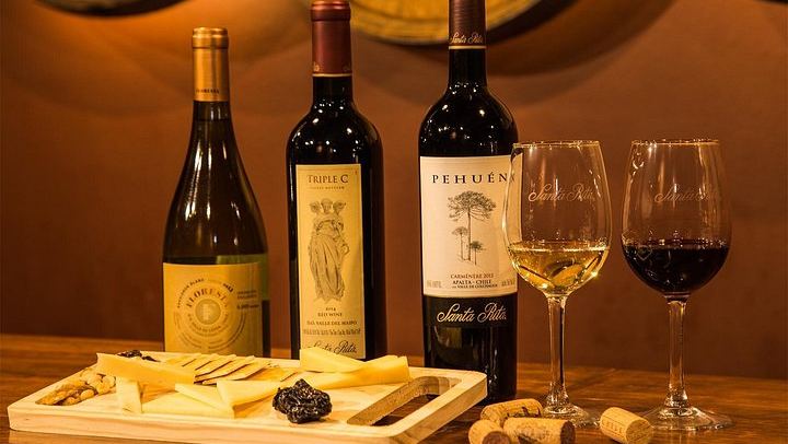 Santa Rita Premium Winery Tour in Alto Jahuel: Cellars, Roman Baths, 3 Wines (1/5)