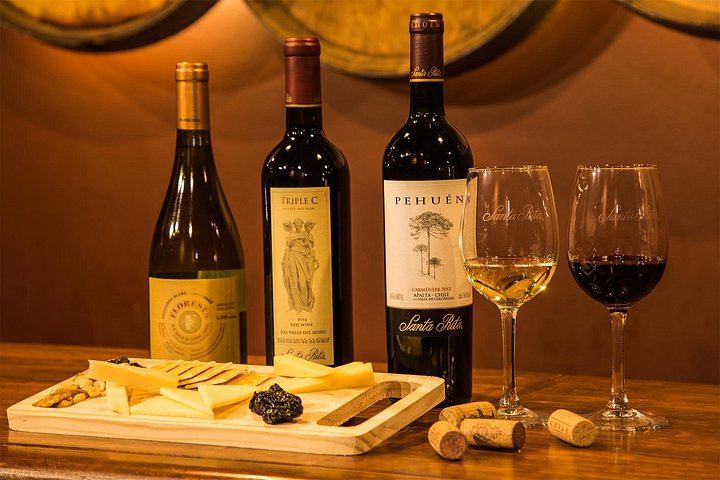 Santa Rita Premium Winery Tour in Alto Jahuel: Cellars, Roman Baths, 3 Wines (1/5)