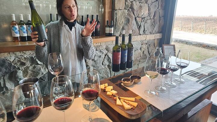 Luján de Cuyo Wine Tour: Caelum Tasting and Paired Lunch at Chandon (2/4)