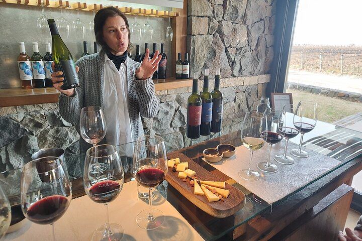 Luján de Cuyo Wine Tour: Caelum Tasting and Paired Lunch at Chandon (2/4)