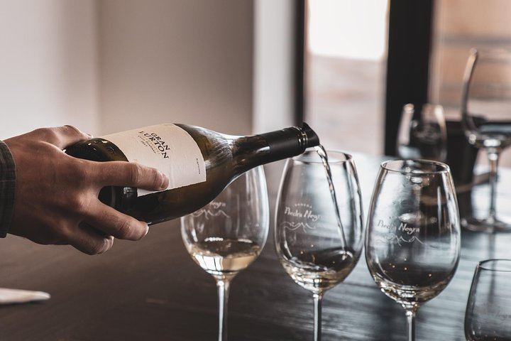 Private Luxury Uco Valley Day: Clos de los Siete, Piedra Negra and La Morada Lunch (8/12)