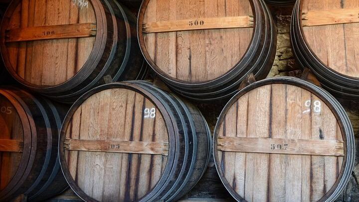 Douro Three-Winery Small-Group Tour from Porto: Régua, Lunch and Sabrosa Tasting (1/12)