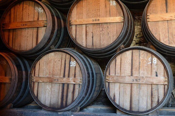 Douro Three-Winery Small-Group Tour from Porto: Régua, Lunch and Sabrosa Tasting (1/12)
