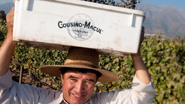 Viña Cousiño Macul Premium Wine Tour in Spanish with Historic Cellars and Three Wines (4/10)