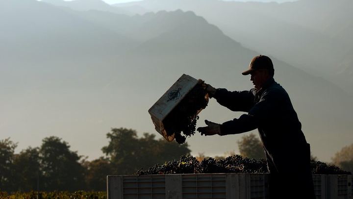 Viña Cousiño Macul Premium Wine Tour in Spanish with Historic Cellars and Three Wines (1/10)