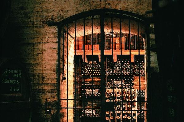 Viña Cousiño Macul Premium Wine Tour in Spanish with Historic Cellars and Three Wines