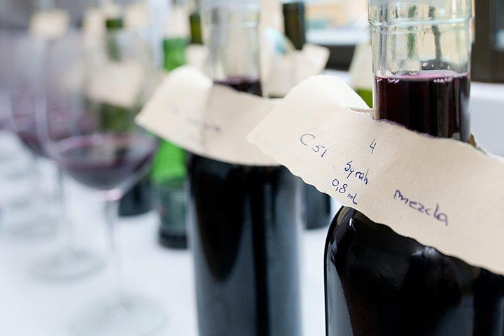 Viña Cousiño Macul Premium Wine Tour in Spanish with Historic Cellars and Three Wines (6/10)