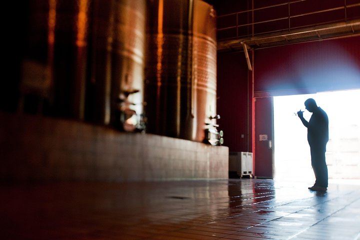 Viña Cousiño Macul Premium Wine Tour in Spanish with Historic Cellars and Three Wines (7/10)