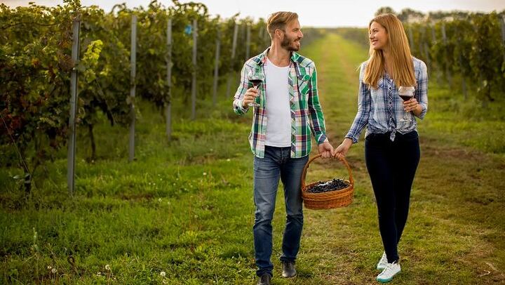 Private Niagara-on-the-Lake Wine Tour: 4 Wineries, Ice Lounge and Cheese Board (1/8)