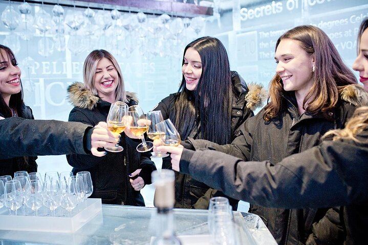 Private Niagara-on-the-Lake Wine Tour: 4 Wineries, Ice Lounge and Cheese Board (7/8)