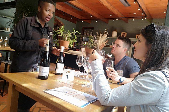 Private 5-Hour Cape Winelands Tour from Cape Town: Stellenbosch Drive and Vineyards (7/12)