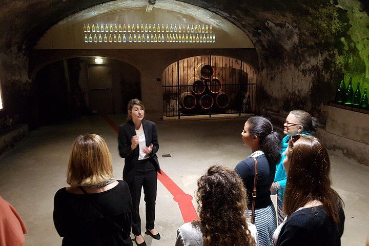 Paris Wine Day Tours Champagne Day Trip: Mumm Cellars, Hautvillers and Three Houses (9/10)