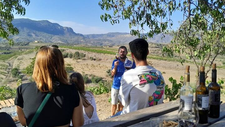 Priorat Full-Day Tour of Three Small Family Wineries with Lunch Stop and Hotel Pickup (1/6)