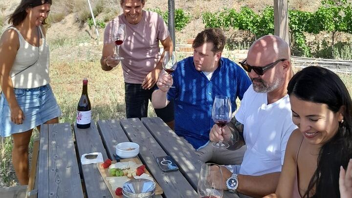 Priorat Full-Day Tour of Three Small Family Wineries with Lunch Stop and Hotel Pickup (3/6)
