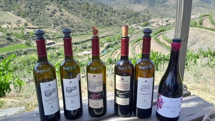 Priorat Full-Day Tour of Three Small Family Wineries with Lunch Stop and Hotel Pickup (4/6)