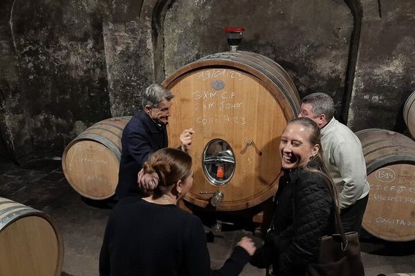 Priorat Full-Day Tour of Three Small Family Wineries with Lunch Stop and Hotel Pickup