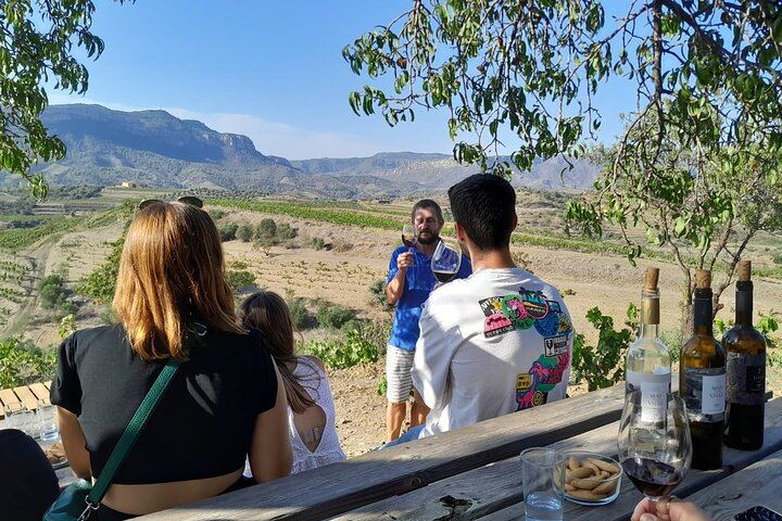 Priorat Full-Day Tour of Three Small Family Wineries with Lunch Stop and Hotel Pickup (1/6)
