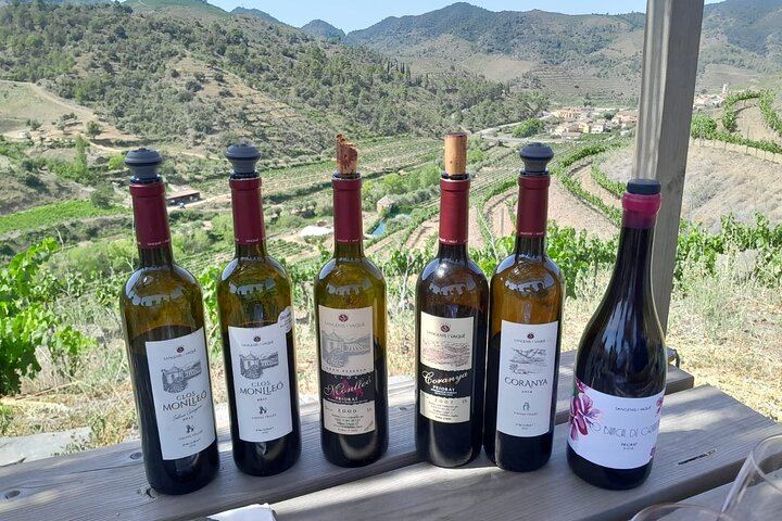 Priorat Full-Day Tour of Three Small Family Wineries with Lunch Stop and Hotel Pickup (4/6)
