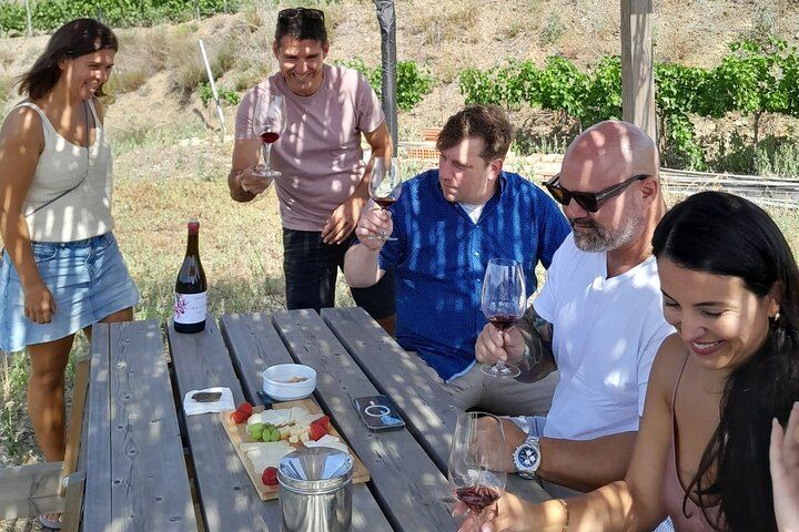 Priorat Full-Day Tour of Three Small Family Wineries with Lunch Stop and Hotel Pickup (3/6)
