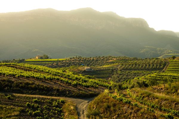 Penedès & Priorat