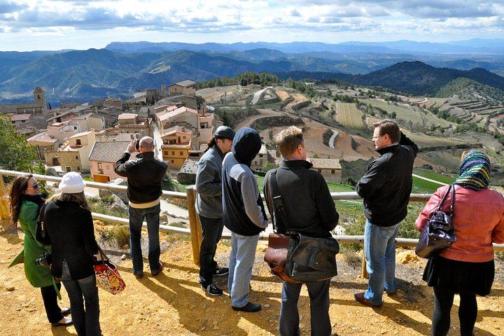 Private Priorat Day Trip from Barcelona: Pasanau, Clos Figueras and Devinssi Wineries (1/5)