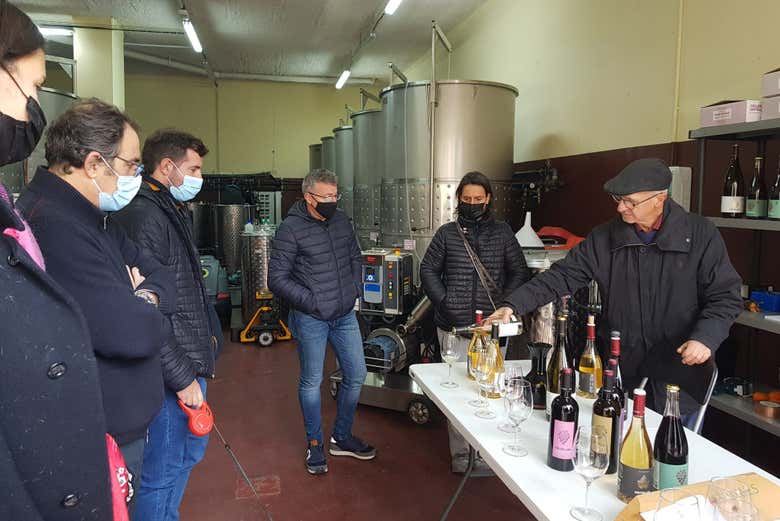 Priorat Day Trip from Salou to Celler Gritelles: Winery Tour and Four-Wine Tasting (1/5)