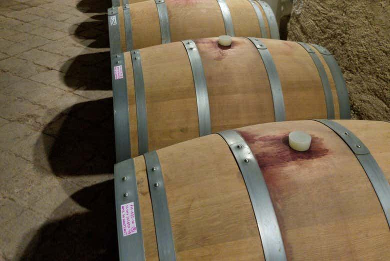Priorat Day Trip from Salou to Celler Gritelles: Winery Tour and Four-Wine Tasting (3/5)